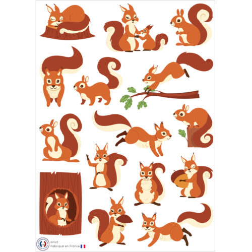 stickers écureuils